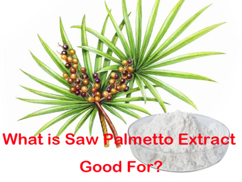What Is Saw Palmetto Extract Good For?